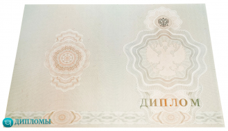 Диплом техникума-колледжа 2007-2010 года